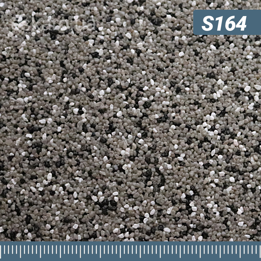 s164.jpg