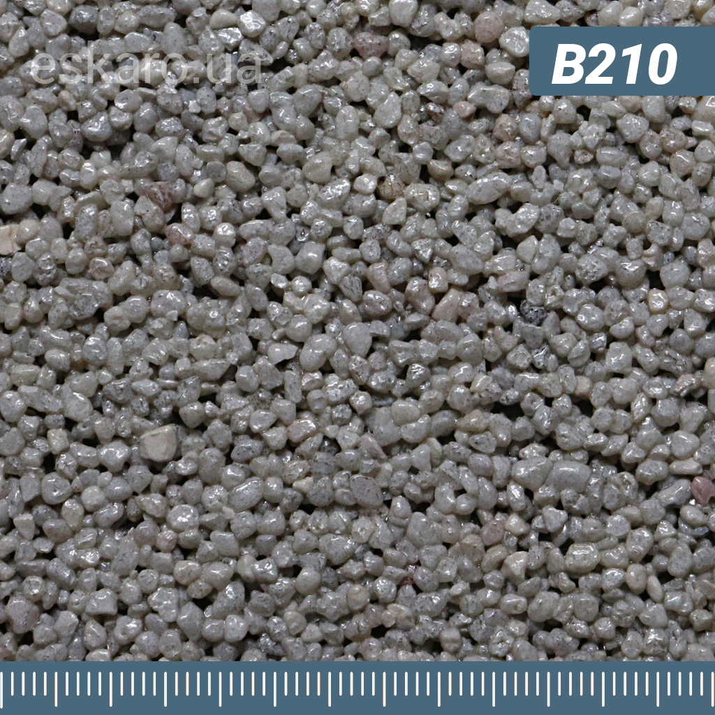 b210.jpg